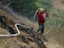 Autoridades chilenas señalan que ya se ha controlado la emergencia en la zona afectada del Parque Torres del Paine. EFE  /