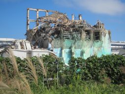 La descontaminación de las zonas afectadas comenzará a finales de enero. AFP  /