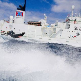 Activistas australianos abordan ballenero japonés