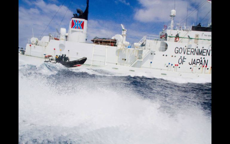 Este año Japón anunció que buques de la Agencia de Pesca protegerán a los balleneros. AFP  /
