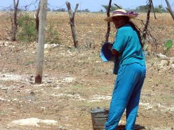 La Secretaría de Desarrollo Social dice que mil 650 pueblos y ciudades del norte del país no tienen agua potable. ARCHIVO  /