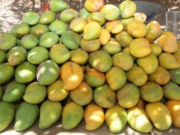 La máquina tiene la finalidad de realizar el procesamiento completo del mango: pelar, cortar y deshuesar.  /