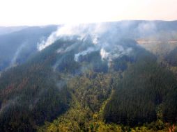 La casa era del dirigente nacional de la Corporación Nacional de Desarrollo Indígena (Conadi), José Santos Millao.AFP  /
