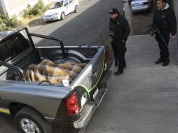 Agentes estatales resguardan los cuerpos de 13 personas hallados en Zitácuaro. EFE  /