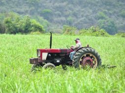La mala temporada provocó una caída de 5.9% en el sector agropecuario durante octubre.  /