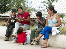 El proyecto Escuela Invernadero se trasladará a varias colonias de Zapopan.  /