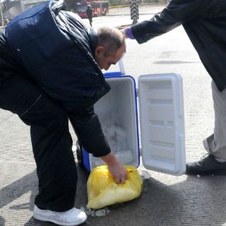 Cae al suelo corazón de donante durante traslado