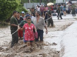El departamento de Medio Ambiente defiende la propuesta, que solo trata de evitar la difusión de información incorrecta. ARCHIVO  /