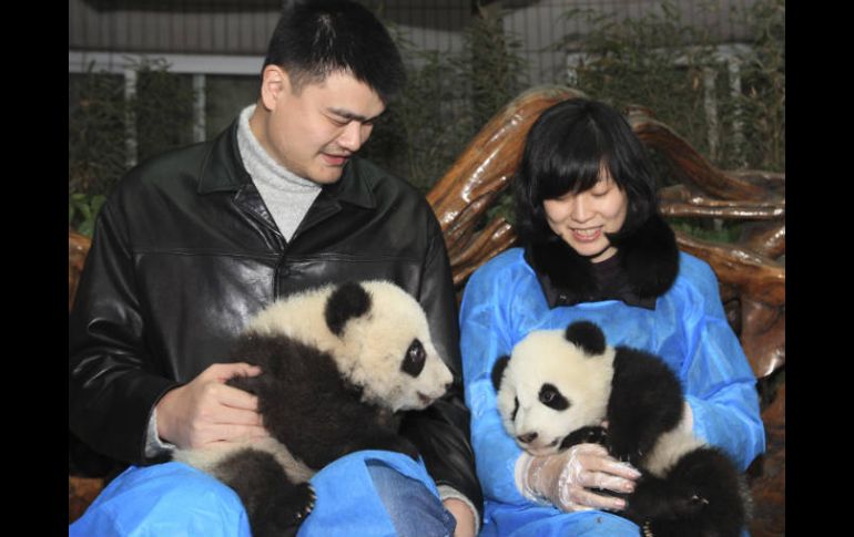 Los osos llegarán al Valle de los Pandas, zona para que los animales se acostumbren al entorno salvaje. REUTERS  /