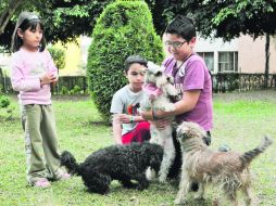 La mayoría de los niños desea una mascota en casa; los perros suelen ser los favoritos de los pequeños.  /