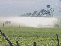 Las nuevas presas significan mejores sistemas de riego para el campo jalisciense.  /