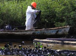 El derrame causó la muerte de peces, dañó la fauna silvestre y dejó una capa aceitosa en el río Coatzacoalcos. REUTERS  /