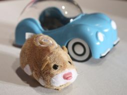 Desde hace cinco años comenzó con su amor por los pequeñines. ARCHIVO  /