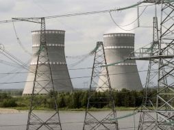 Expertos y científicos de todo el mundo instaron a compartir las experiencias de desastres nucleares como el de Fukushima. ARCHIVO  /