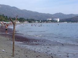 Los microorganismos pueden provocar mortandad de peces. ARCHIVO  /