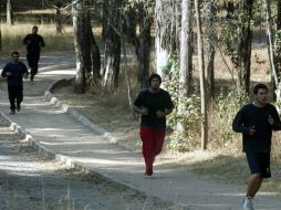 La salida de la competencia será el Parque Colomos II el domingo 29 de enero. ARCHIVO  /