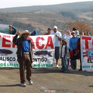 Luege Tamargo minimiza observaciones de la ONU