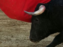 Las corridas de toros ya están establecidas como Patrimonio Cultural Inmaterial en Francia. ARCHIVO  /