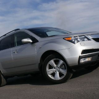 Placentera convivencia