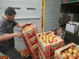 En varios alimentos frescos, México es el principal abastecedor de Estados Unidos. ARCHIVO  /