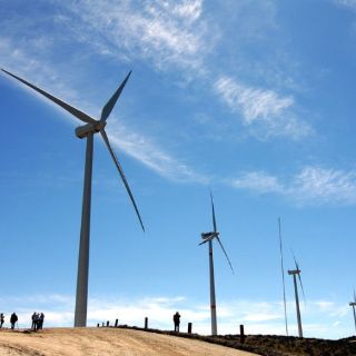 Invertirá Santander en cuatro proyectos eólicos