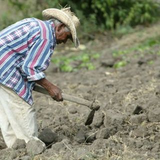 Jalisco, con pocas afectaciones ante sequía, asegura Luege Tamargo