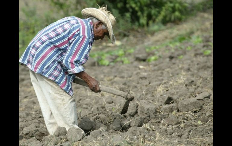 El titular de Conagua pidió calma a la población, asegura que con anticipación se tomaron medidas preventivas. ARCHIVO  /
