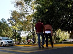 Las especies más afectadas en el municipio son pino, encino, nogal, eucalipto, ficus, fresno, cítricos, primaveras,entre otras. ARCHIVO  /