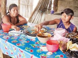 Aseguran que resulta primordial consolidar la producción de autoconsumo en los hogares. EL UNIVERSAL  /