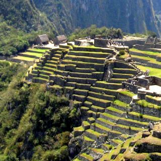 Mapa de biodiversidad muestra que especies andinas necesitan protección