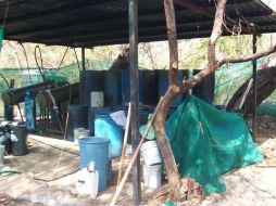 El narcolaboratorio fue ubicado en Tlajomulco de Zuñiga. ARCHIVO  /