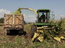 Este año, el apoyo será de 25 millones de pesos, con lo que se buscará adquirir más maquinaria. ARCHIVO  /