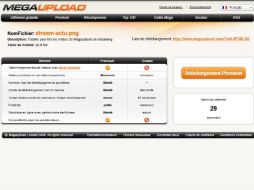 La información de al menos 50 millones de usuarios de Megaupload está en peligro. ESPECIAL  /