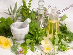 La investigación por el momento sólo se enfoca a plantas que podrían ayudar a contrarrestar enfermedades como cáncer. ID  /