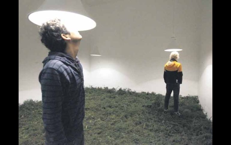 Los sonidos de un bosque improbable, conviven en el ecosistema sonoro creado por Verónica Flores, en ''La existencia del viento''.  /