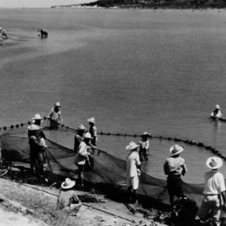 Sinfónica Nacional musicalizará ''Redes'' en el Palacio de Bellas Artes