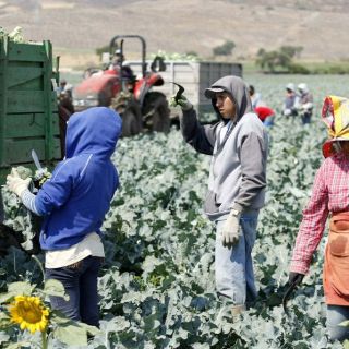 Denuncian que violencia y narco impiden regular núcleos agrarios