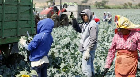 Existen mil 695 núcleos agrarios pendientes de incorporar al FANAR, pero 460 es por el propio rechazo de los ejidatarios. ARCHIVO  /