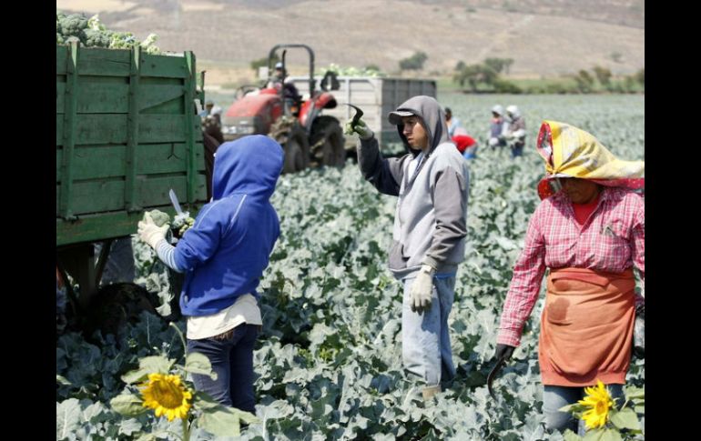 Existen mil 695 núcleos agrarios pendientes de incorporar al FANAR, pero 460 es por el propio rechazo de los ejidatarios. ARCHIVO  /