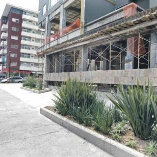 Reconstruyen rasgos de Casa Maisterra