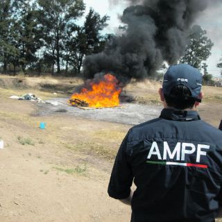 Reducen a cenizas 400 kilos de estupefacientes