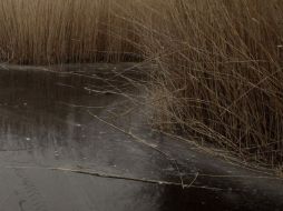 Los sólidos capturados por el filtro son luego tratados como residuos peligrosos. REUTERS  /