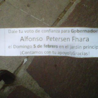 Reparten volantes pidiendo votación por Petersen