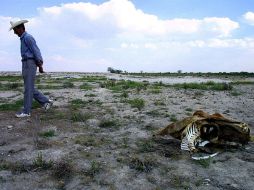La sequía ha afectado duramente a varios estados del país. ARCHIVO  /