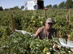 Las personas indocumentadas aportan vitalidad a sectores productivos que ahora necesitan de impulso. AP  /