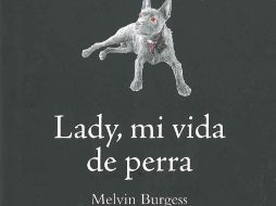 Detalle de la portada. ESPECIAL  /