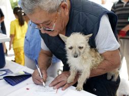 La salud de quien tiene una mascota suele ser mejor que la salud de quien no cuenta con una. ARCHIVO  /
