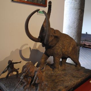 Festejando a un mamut