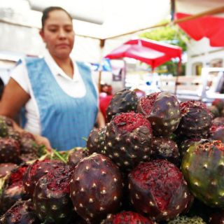 Cámara alimenticia tendrá laboratorio para transgénicos