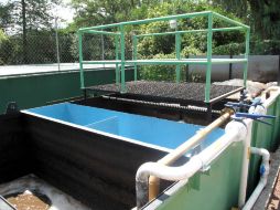 El programa forma parte de una política integral de conservación de los patrimonios cultural y natural. EL UNIVERSAL  /